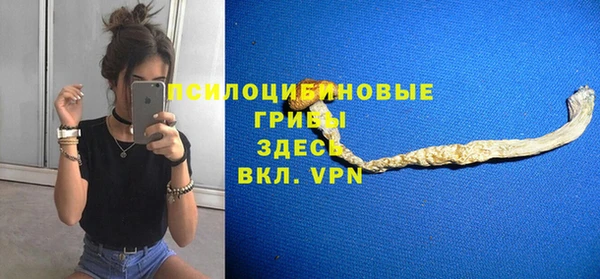 соль ск Верея